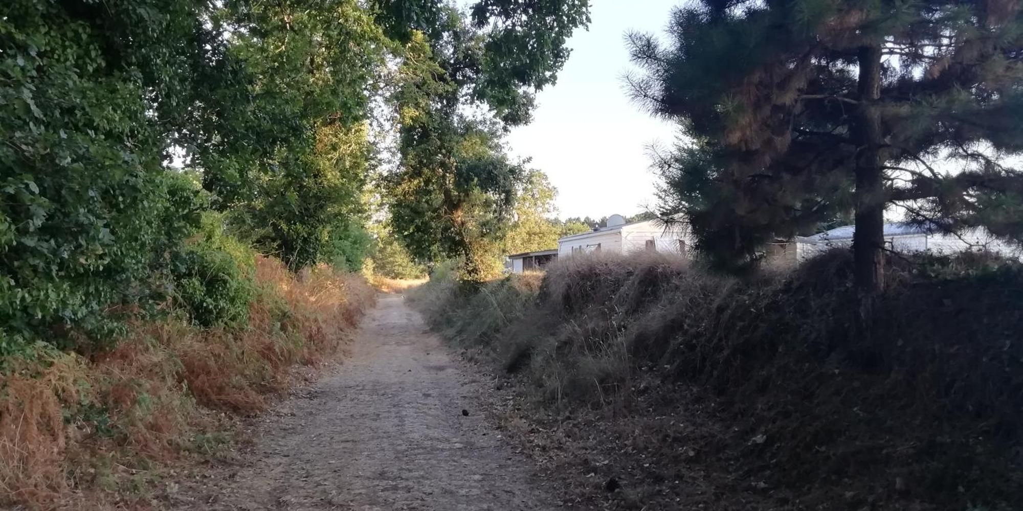 Camping Des Pierres Debout Névez المظهر الخارجي الصورة